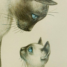 Схема вышивки «Серия "Домашние любимцы"»