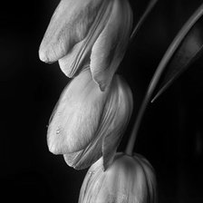 Схема вышивки «№960071»