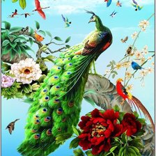 Схема вышивки «павлин»