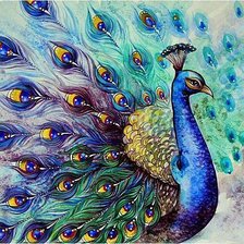 Схема вышивки «павлин»