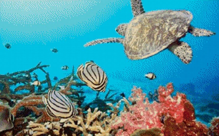 подводный мир - подводный мир - предпросмотр