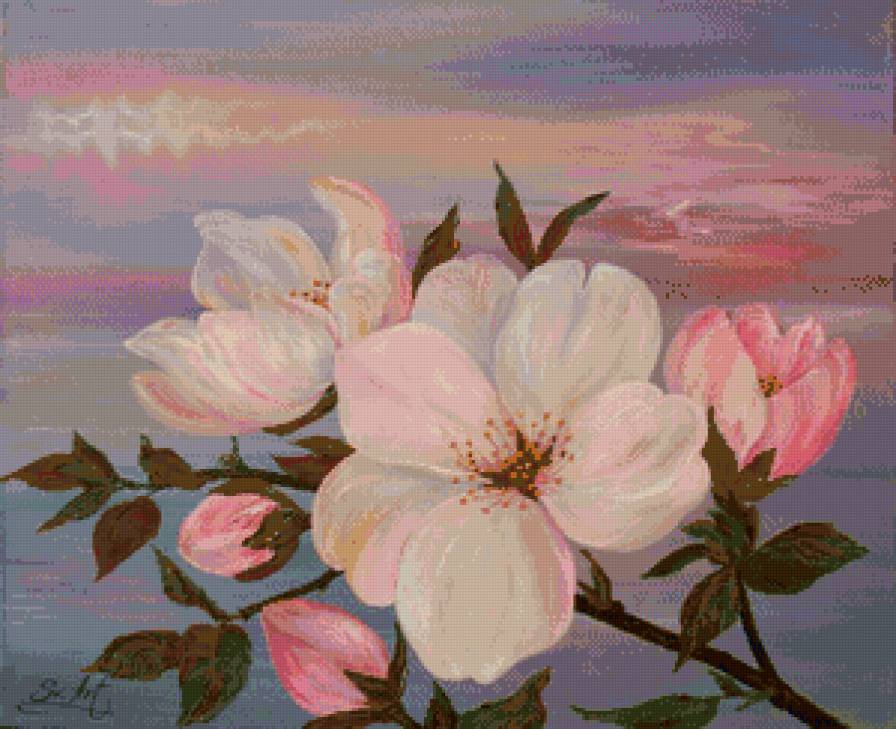 нежный цвет яблони - яблоня, ветка, цветы - предпросмотр