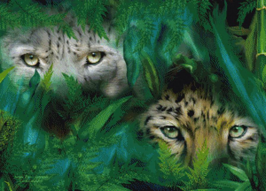 глаза хищника - дикие кошки, хищник, взгляд - предпросмотр