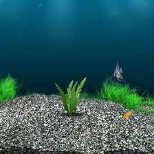 Схема вышивки «1в»