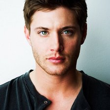 Схема вышивки «Дженсен Эклз»