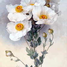 Схема вышивки «№961480»