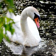 Схема вышивки «*»