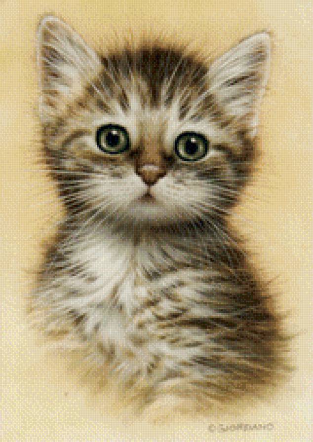 котенок - котята - предпросмотр