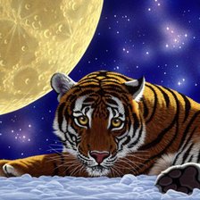 Схема вышивки «Тигр»