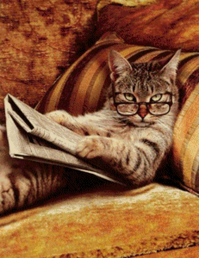 кот - кошки, животные - предпросмотр