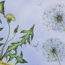 Схема вышивки «Одуваны»