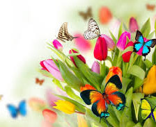 Схема вышивки «№962000»