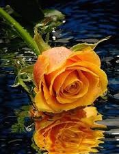 Схема вышивки «№962011»