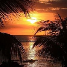 Схема вышивки «мрлотлб»