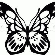 Схема вышивки «Бабочка»