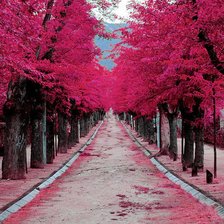 Схема вышивки «№11»