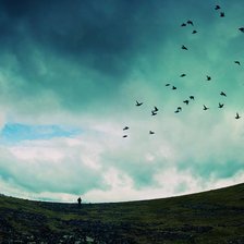 Схема вышивки «Небо птицы»