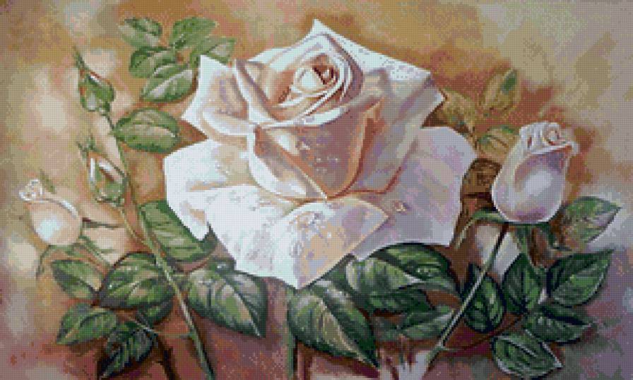 красота розы - живопись, цветы, нежность, роза, панно - предпросмотр