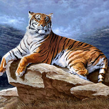 Схема вышивки «тигруля»