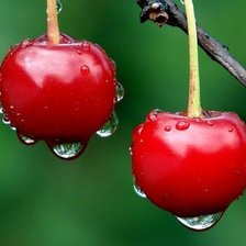 Схема вышивки «№962817»