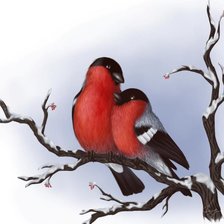 Схема вышивки «Пара снегирей»