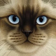 Схема вышивки «кошечка»