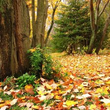 Схема вышивки «Осень золотая.»