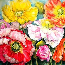 Схема вышивки «феерия разноцветных маков»