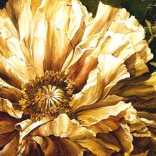 Схема вышивки «мак»