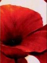 Схема вышивки «маки2»