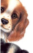 Схема вышивки «Серия "Домашние любимцы"»