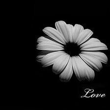 Схема вышивки «Ромашка»