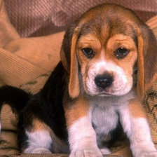 Схема вышивки «Малыш»