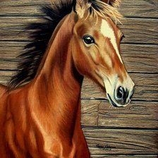 Схема вышивки «Серия "Лошади, кони"»