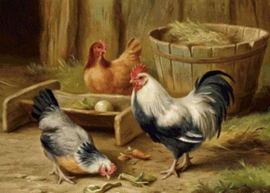 Птичий двор - петух, птичий двор, куры, птицы - предпросмотр