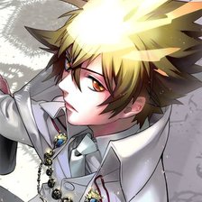 Схема вышивки «Джото»