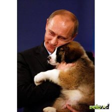 Схема вышивки «Это наш президент!!»