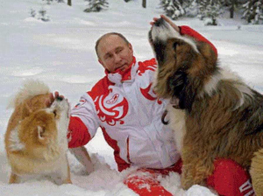 Это наш президент!! - россия, путин, президент - предпросмотр