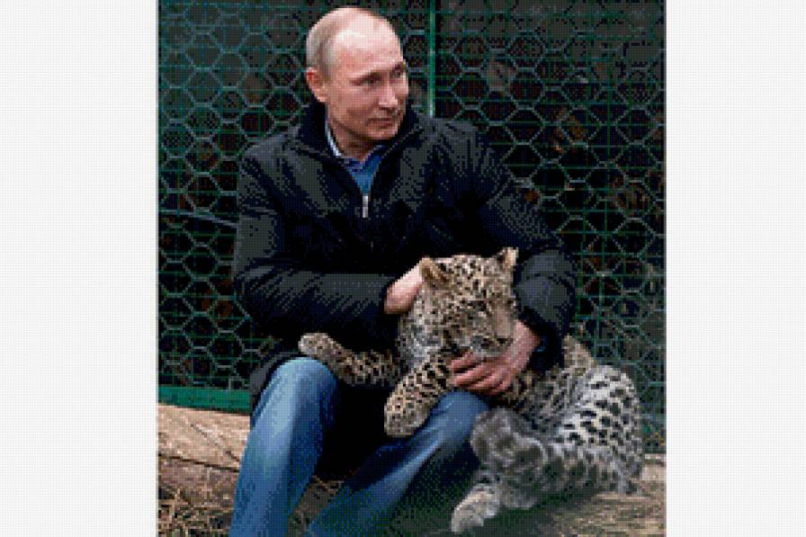 Это наш президент!! - президент, россия, путин - предпросмотр