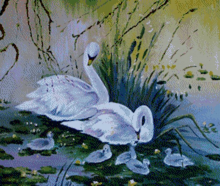 Лебединая семья - пара, лебеди, семья - предпросмотр