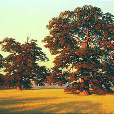 Схема вышивки «дубы в поле»