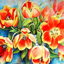 акварельные тюльпаны