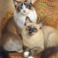 Схема вышивки «кисули»