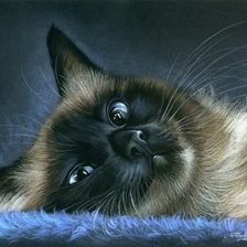 Схема вышивки «котейка»