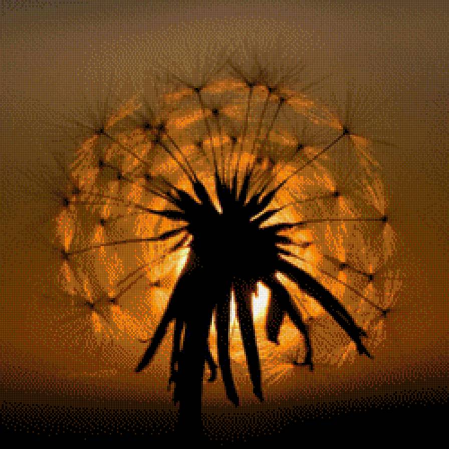 одуван - предпросмотр