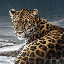 Схема вышивки «Серия "Дикая природа"»