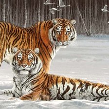 Схема вышивки «Серия "Дикая природа"»