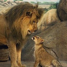 Схема вышивки «Серия "Дикая природа"»