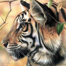 Схема вышивки «Серия "Дикая природа"»