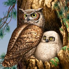 Схема вышивки «Серия "Пернатые"»